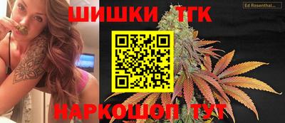 крисы Малгобек
