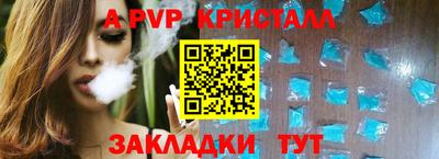 крисы Малгобек