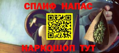 крисы Малгобек