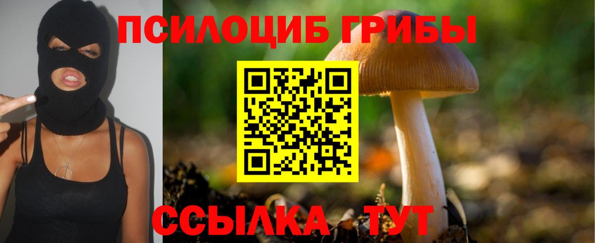 Галлюциногенные грибы Cubensis Владикавказ